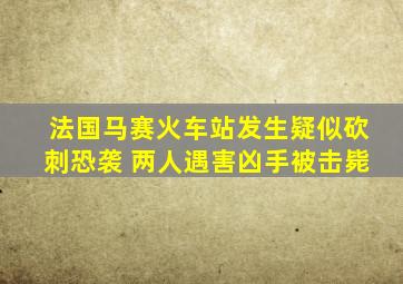 法国马赛火车站发生疑似砍刺恐袭 两人遇害凶手被击毙